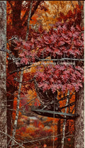 1 Tree Ninja W/ Set Of (12)Red/Brown Oak Branches