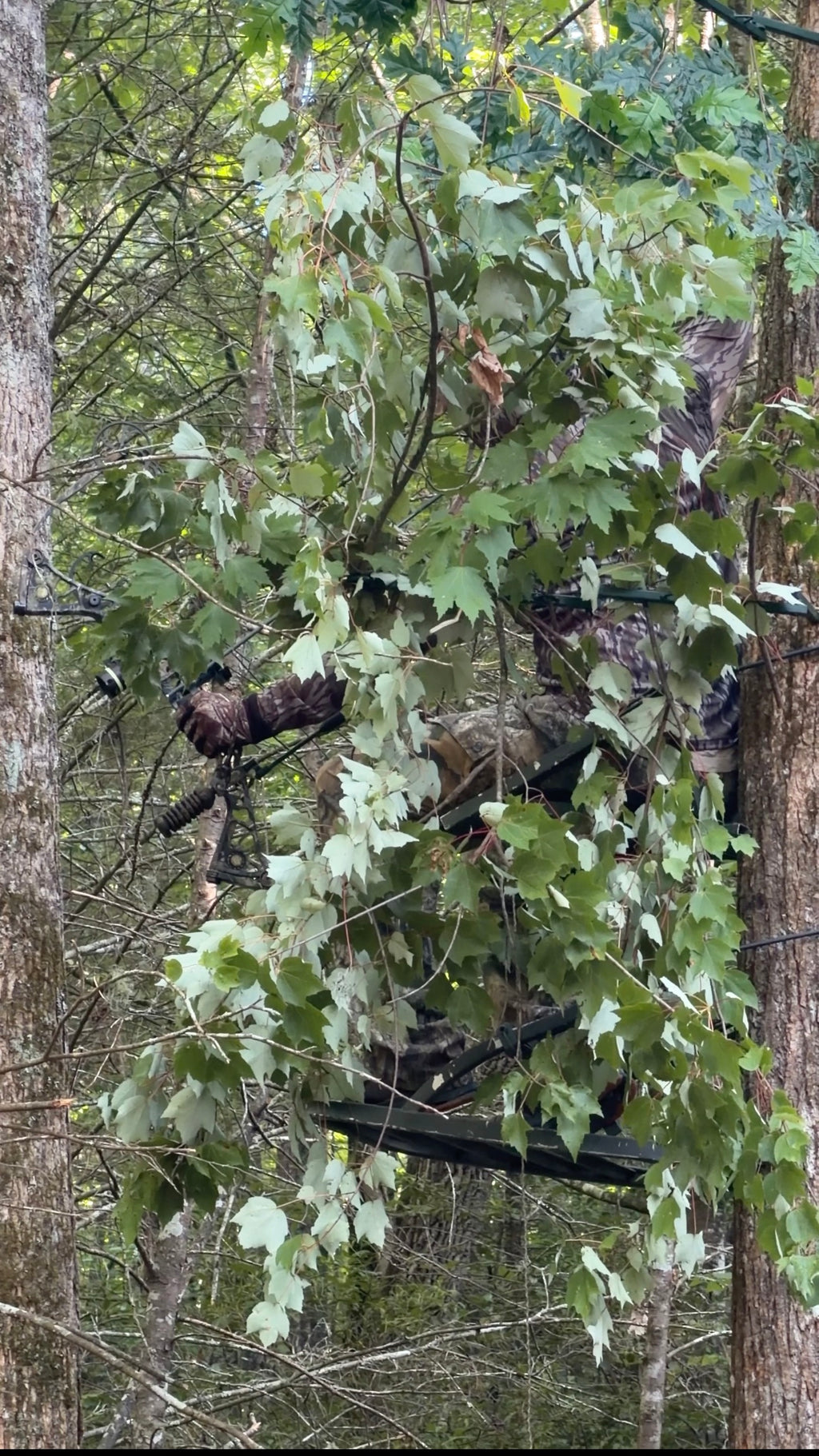 4 Pack-TREE NINJA (For Real Branches) (Faux Branches Not Included)